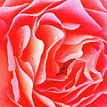 Ripple Effect 2